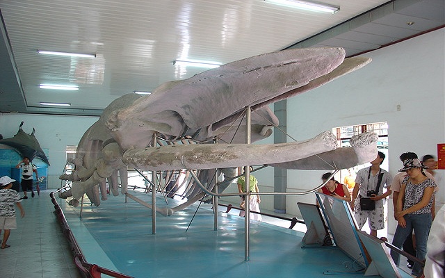 Oceanography Museum Nha Trang