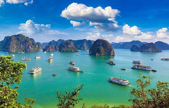 Halong Bay Day Trip or Overnight Cruise