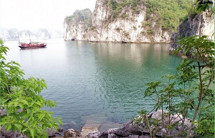 Best Time to Visit Bai Tu Long Bay