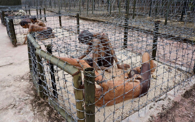 con-dao-prison-tiger-cages