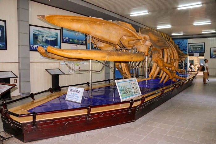 National Oceanographic Museum of Vietnam