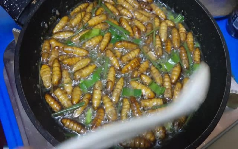fried-coconut-worms