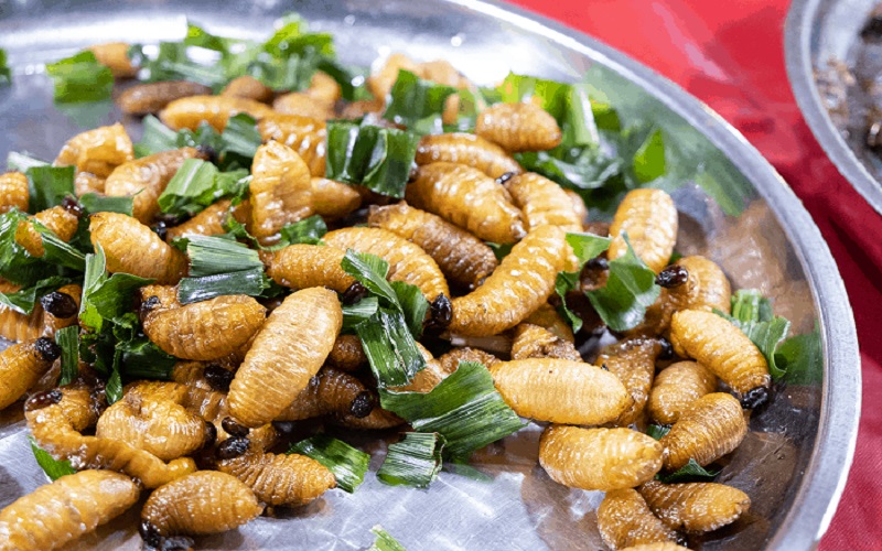roasted-coconut-worms