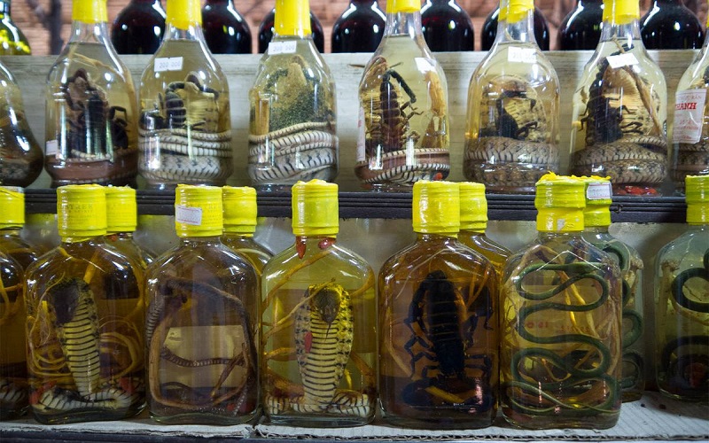 Snake Wine or Whiskey from Vietnam: Where to Buy & Price