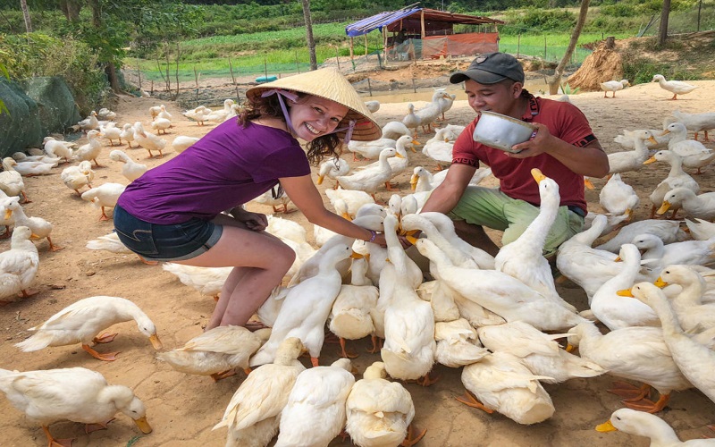 Duck Massage in Phong Nha