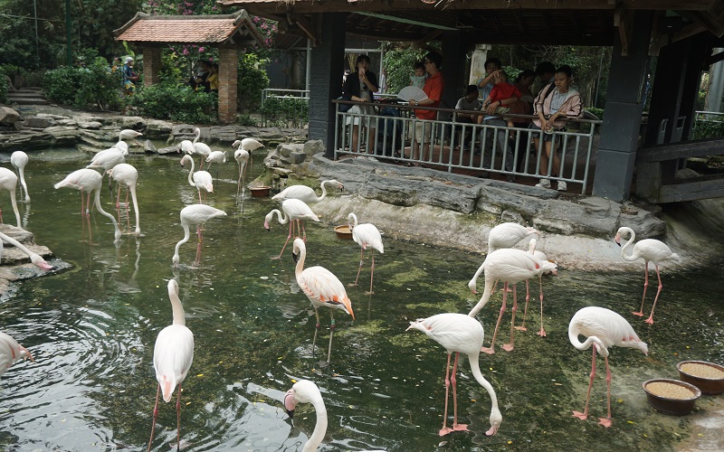 saigon-zoo-and-botanical-garden