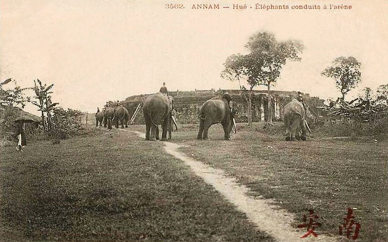 Tiger Elephant Arena Hue: An Unique Colosseum in Vietnam