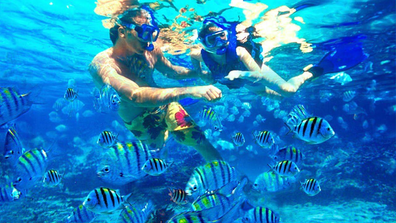 Nha Trang Snorkling & Diving Tours